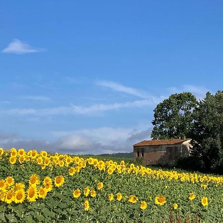 Agriturismo Poggio Di Sotto Galliano Esterno foto