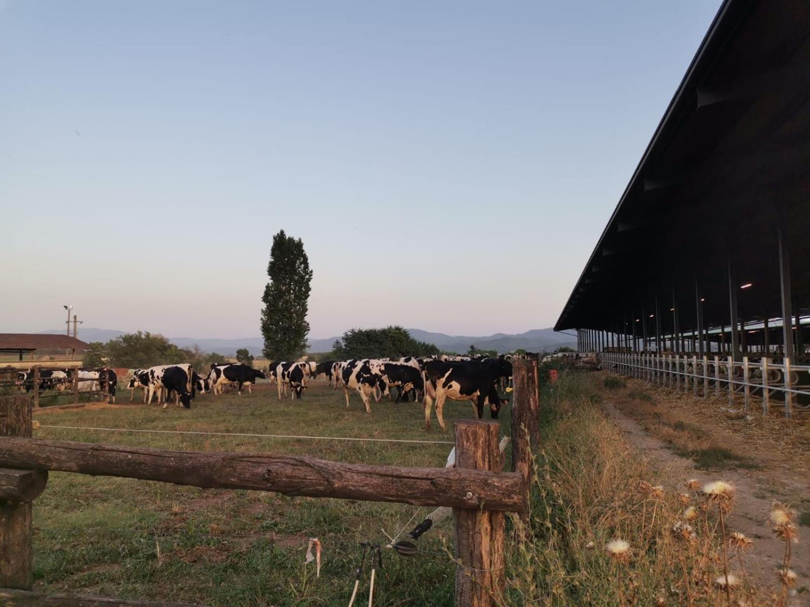 Agriturismo Poggio Di Sotto Galliano Esterno foto