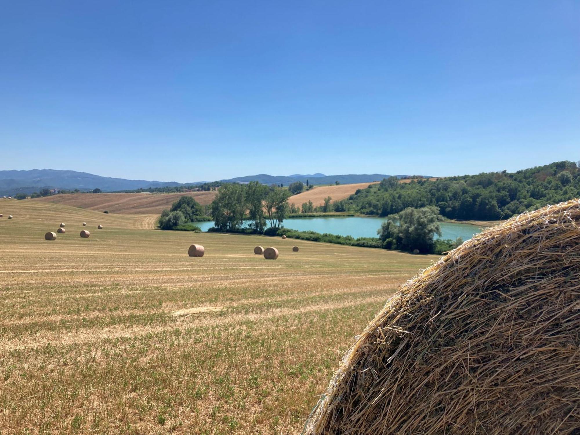 Agriturismo Poggio Di Sotto Galliano Esterno foto